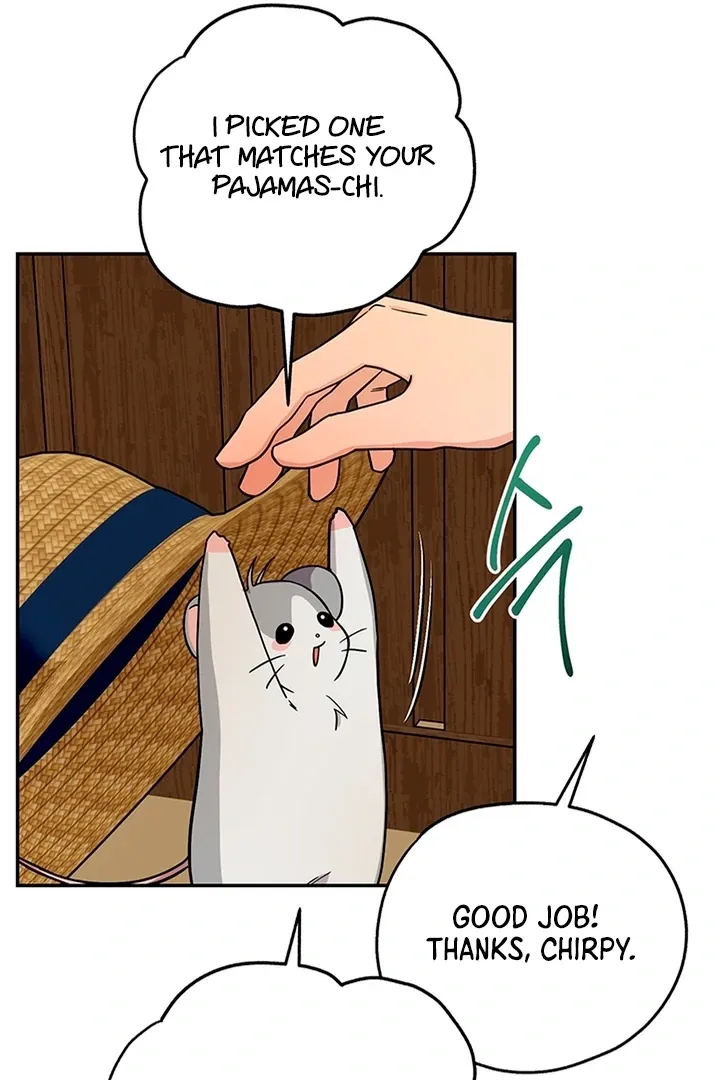 My Pet Rat is an S-Class Awakener Chapter 4 page 30 - 