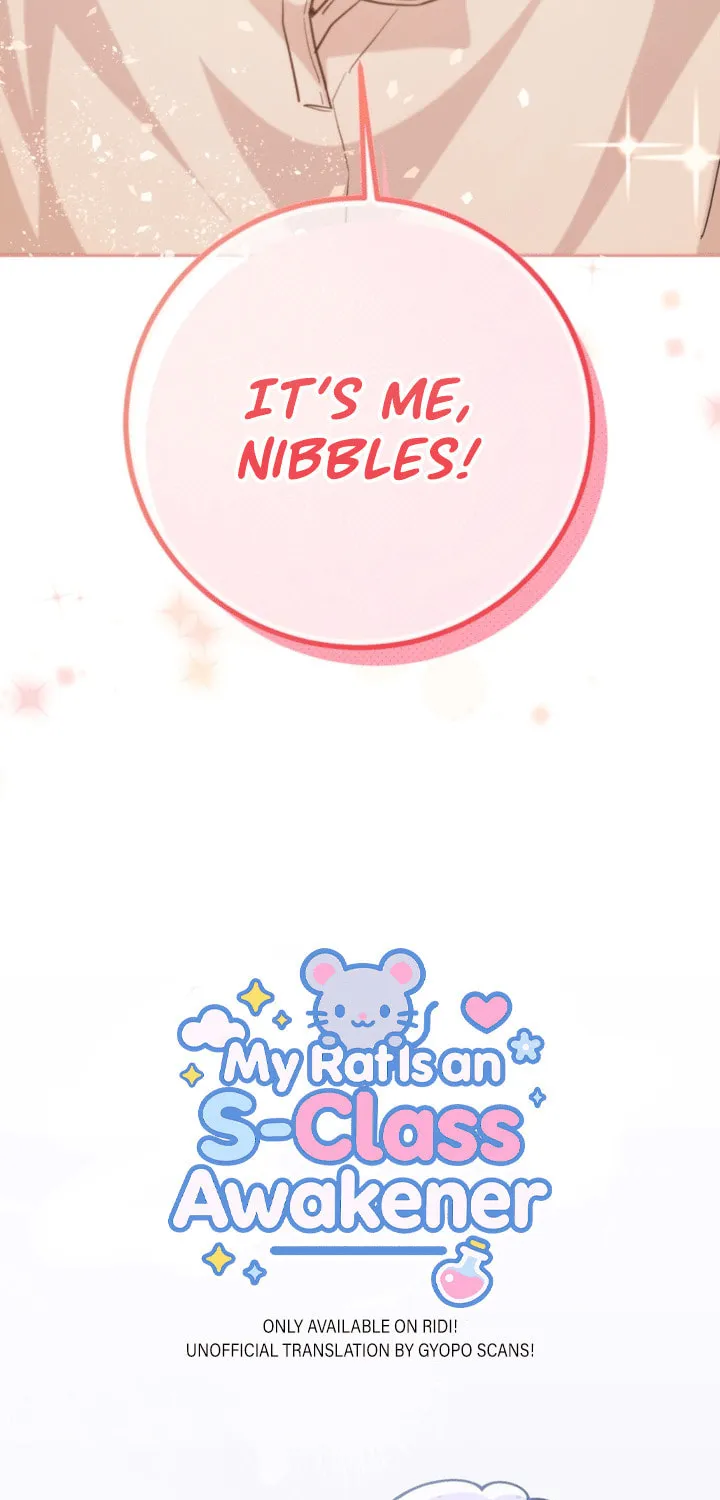 My Rat Is an S-Class Awakener Chapter 0 page 19 - 