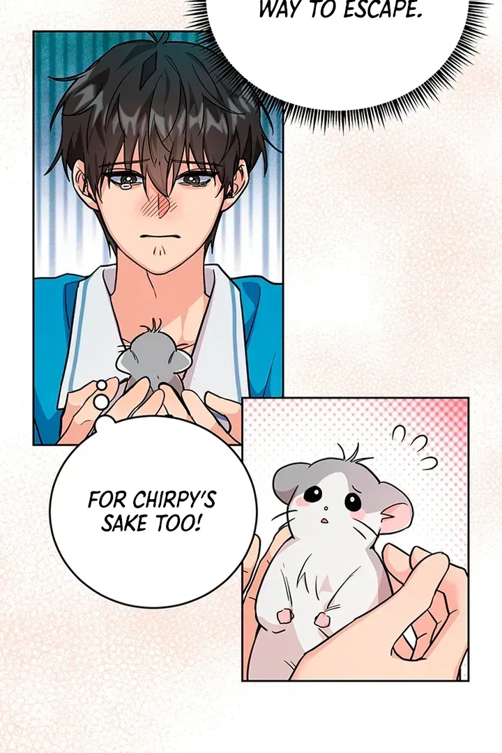 My Rat Is an S-Class Awakener Chapter 1.1 page 84 - 
