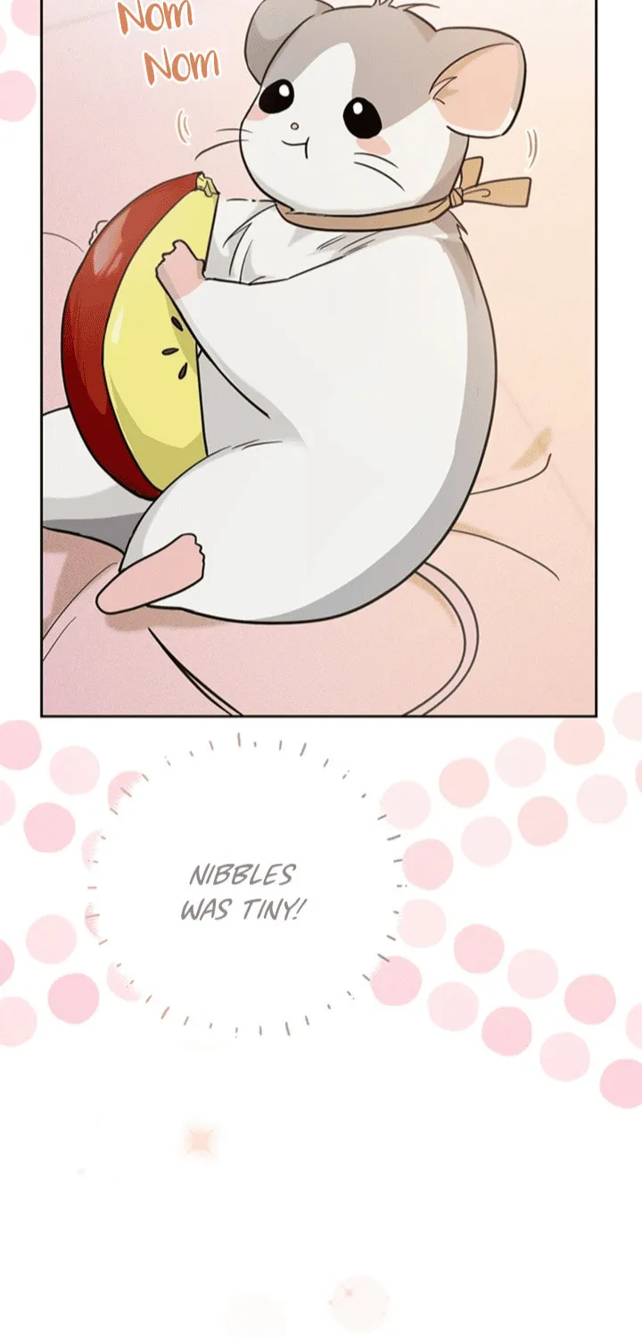 My Rat Is an S-Class Awakener Chapter 1 page 11 - 