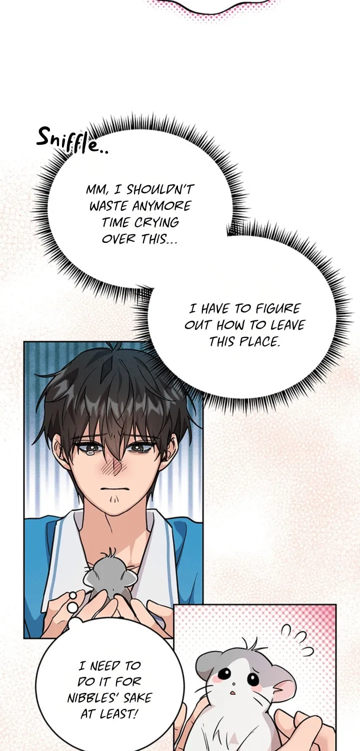 My Rat Is an S-Class Awakener Chapter 1 page 62 - 