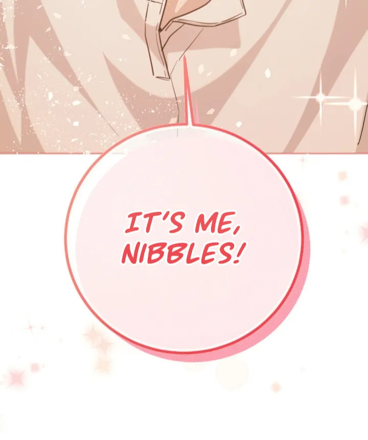 My Rat Is an S-Class Awakener Chapter 1 page 8 - 