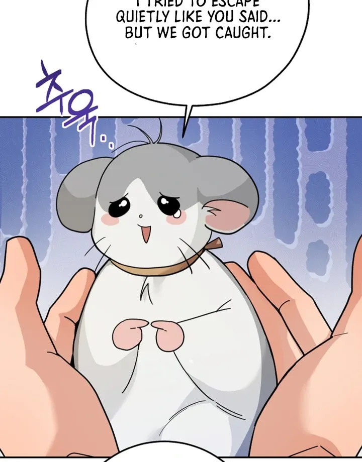 My Rat Is an S-Class Awakener Chapter 11 page 18 - 