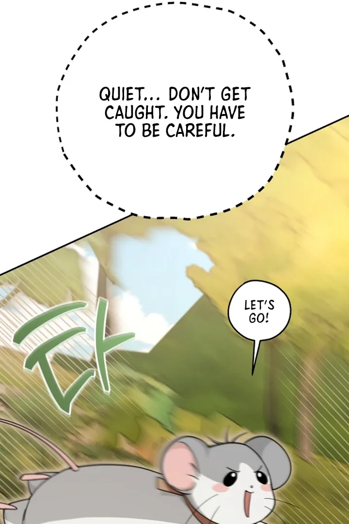 My Rat Is an S-Class Awakener Chapter 11 page 6 - 
