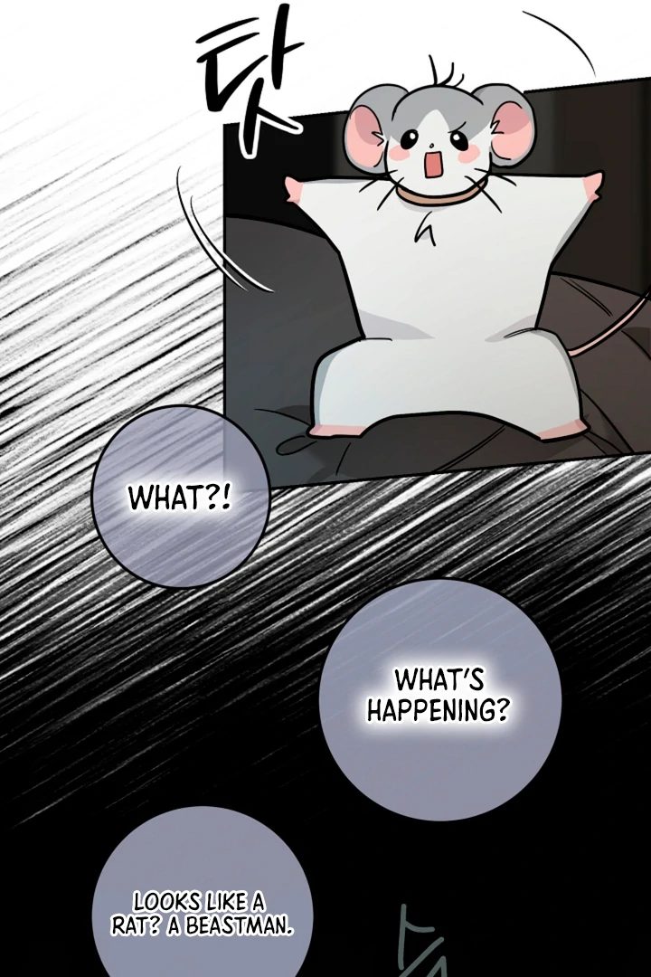 My Rat Is an S-Class Awakener Chapter 14 page 91 - 