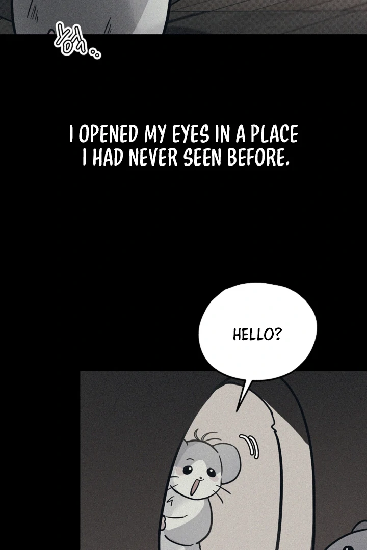 My Rat Is an S-Class Awakener Chapter 15 page 75 - 