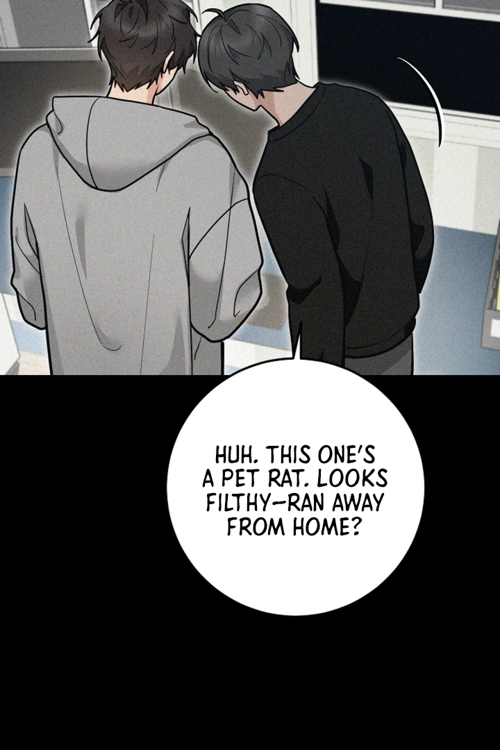 My Rat Is an S-Class Awakener Chapter 15 page 87 - 