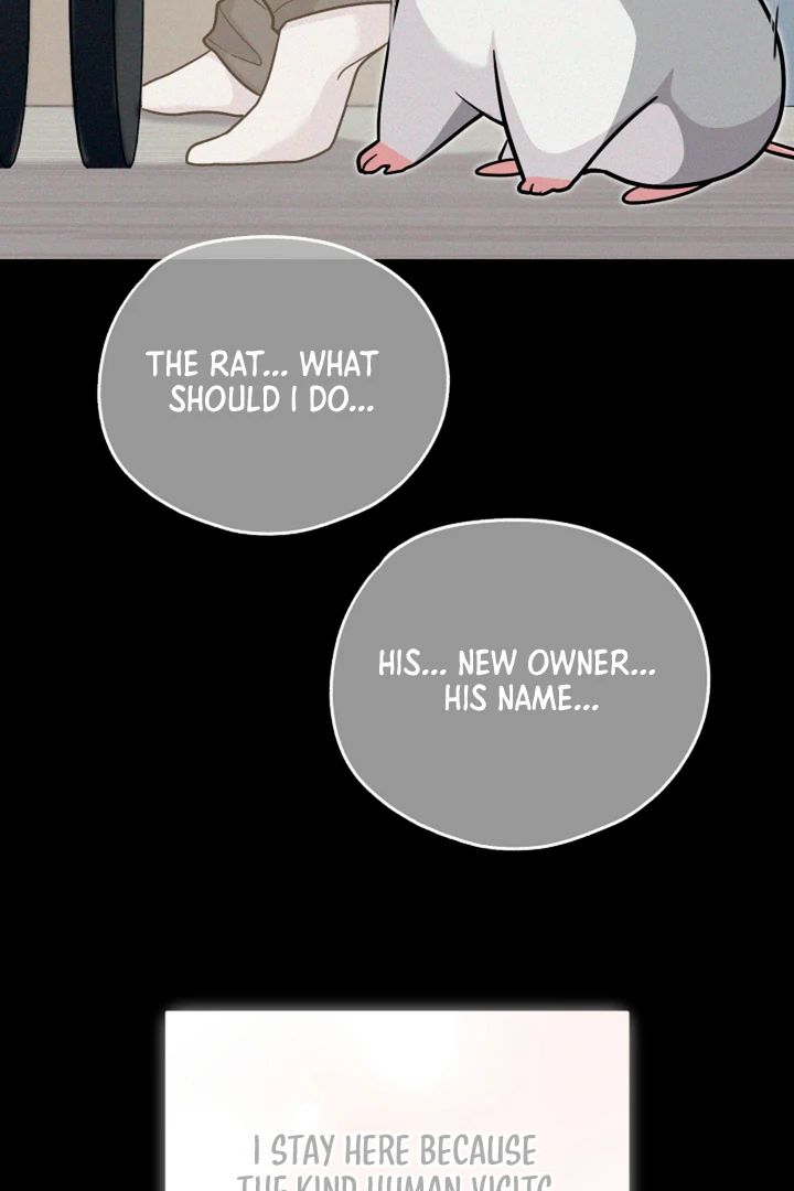 My Rat Is an S-Class Awakener Chapter 16 page 13 - 