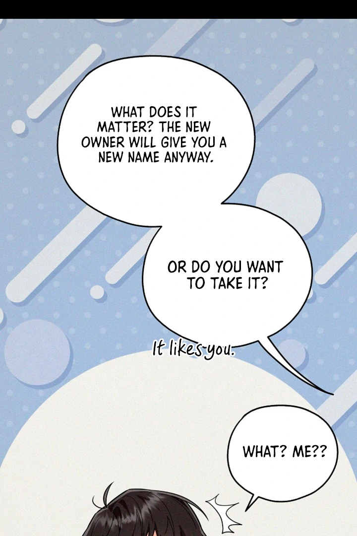 My Rat Is an S-Class Awakener Chapter 16 page 21 - 