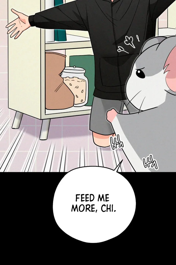My Rat Is an S-Class Awakener Chapter 16 page 39 - 