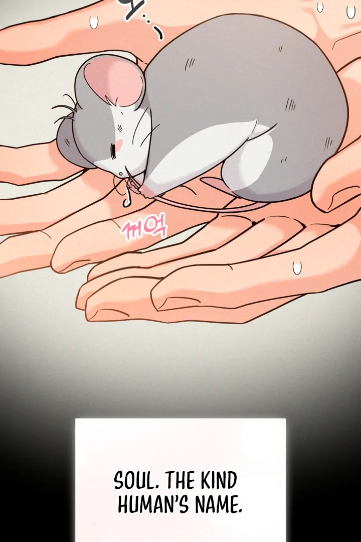 My Rat Is an S-Class Awakener Chapter 16 page 7 - 