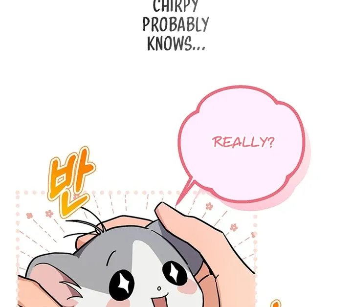 My Rat Is an S-Class Awakener Chapter 2.1 page 26 - 