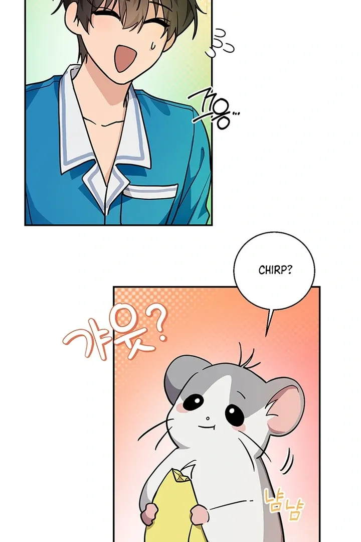 My Rat Is an S-Class Awakener Chapter 2.1 page 51 - 