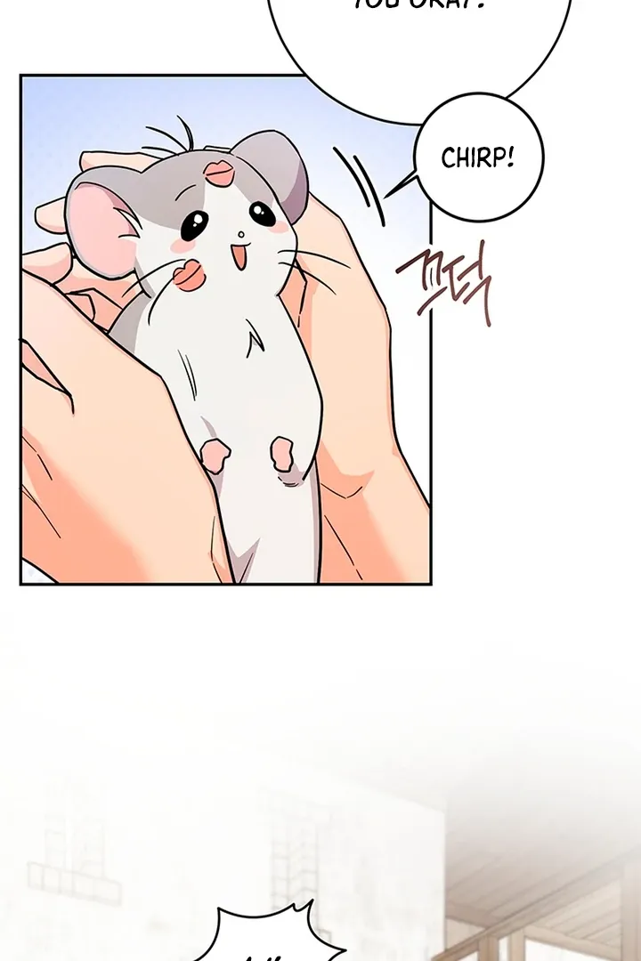 My Rat Is an S-Class Awakener Chapter 3 page 8 - 