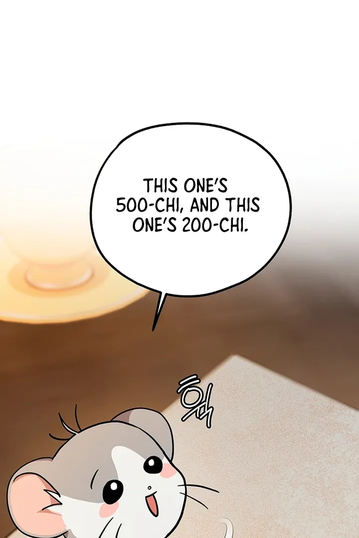 My Rat Is an S-Class Awakener Chapter 3 page 77 - 