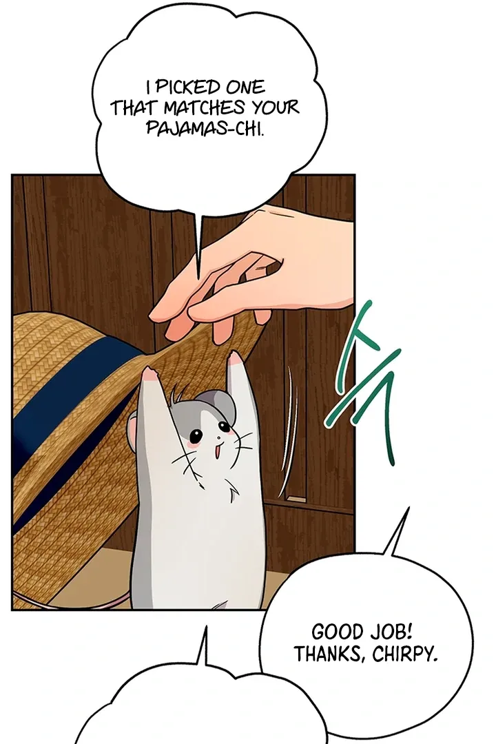 My Rat Is an S-Class Awakener Chapter 4 page 31 - 