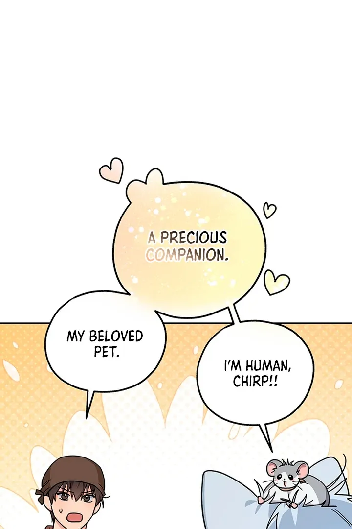 My Rat Is an S-Class Awakener Chapter 6 page 31 - 