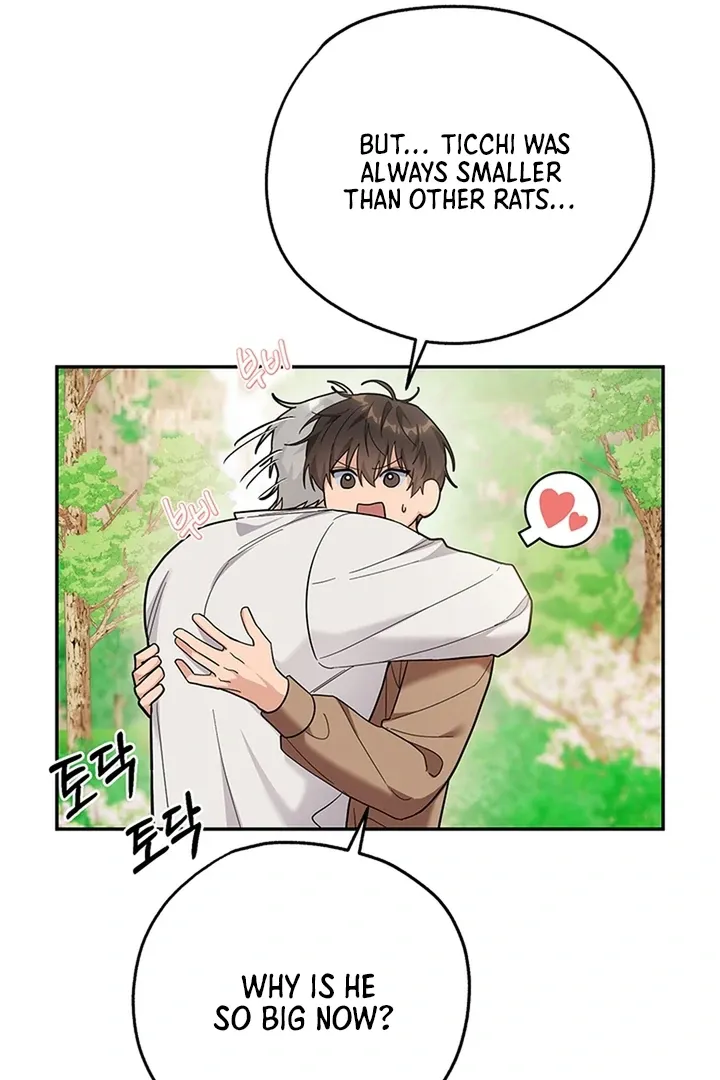 My Rat Is an S-Class Awakener Chapter 8 page 16 - 