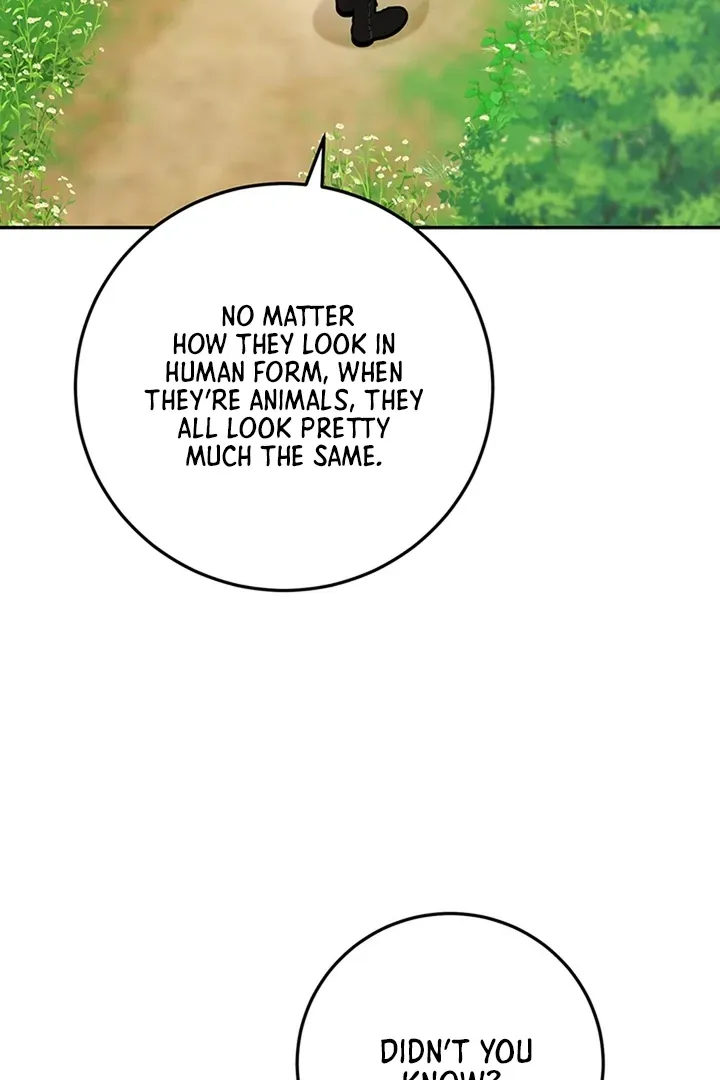 My Rat Is an S-Class Awakener Chapter 8 page 19 - 
