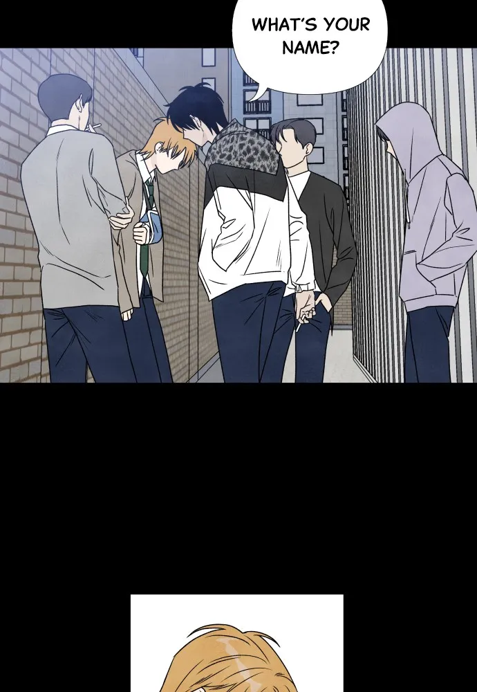 My Reason to Die Chapter 4 page 41 - 