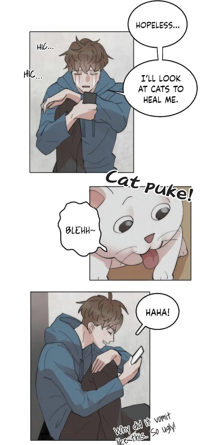 My Roommate, Handsome Senior Chapter 1 page 34 - 