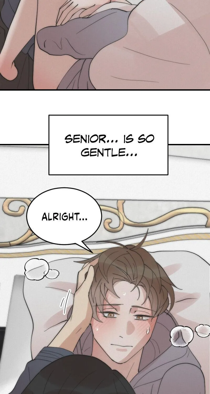My Roommate, Handsome Senior Chapter 14 page 12 - 