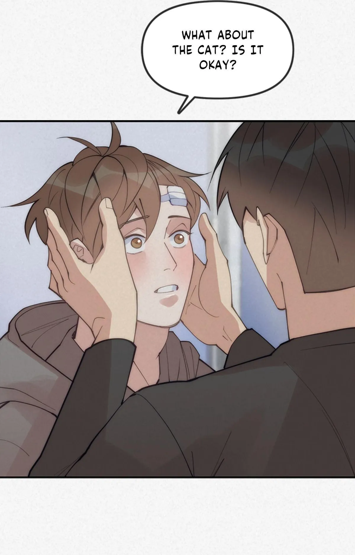 My Roommate, Handsome Senior Chapter 66 page 83 - 