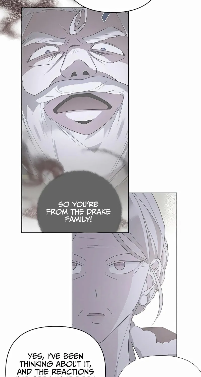 My Ruined ACADEMY Chapter 10 page 41 - 