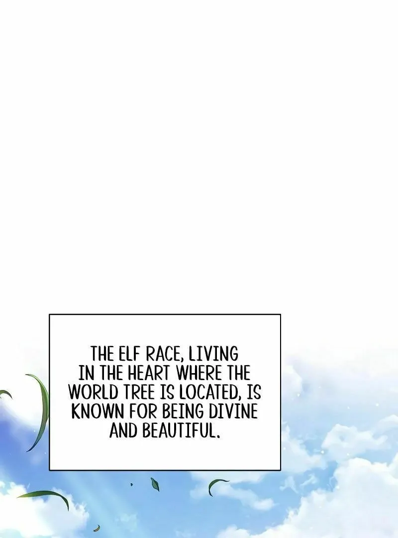 My Ruined ACADEMY Chapter 2 page 13 - 
