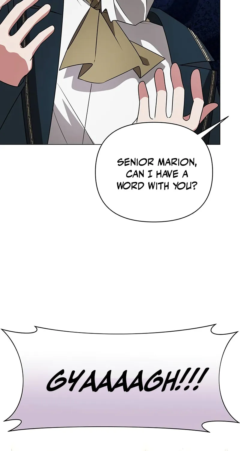 My Ruined ACADEMY Chapter 27 page 17 - 