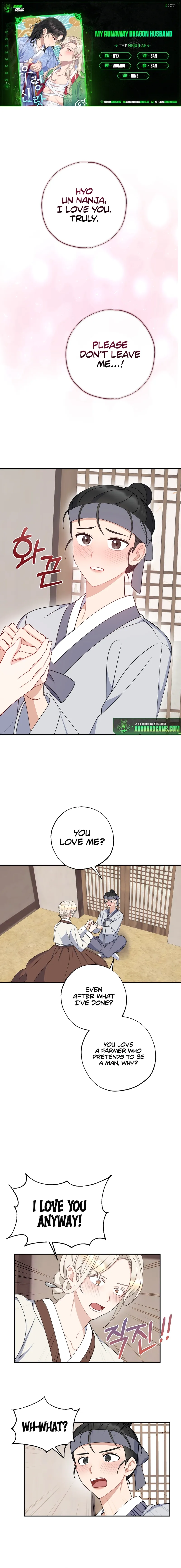 My Runaway Dragon Husband Chapter 10 page 1 - 