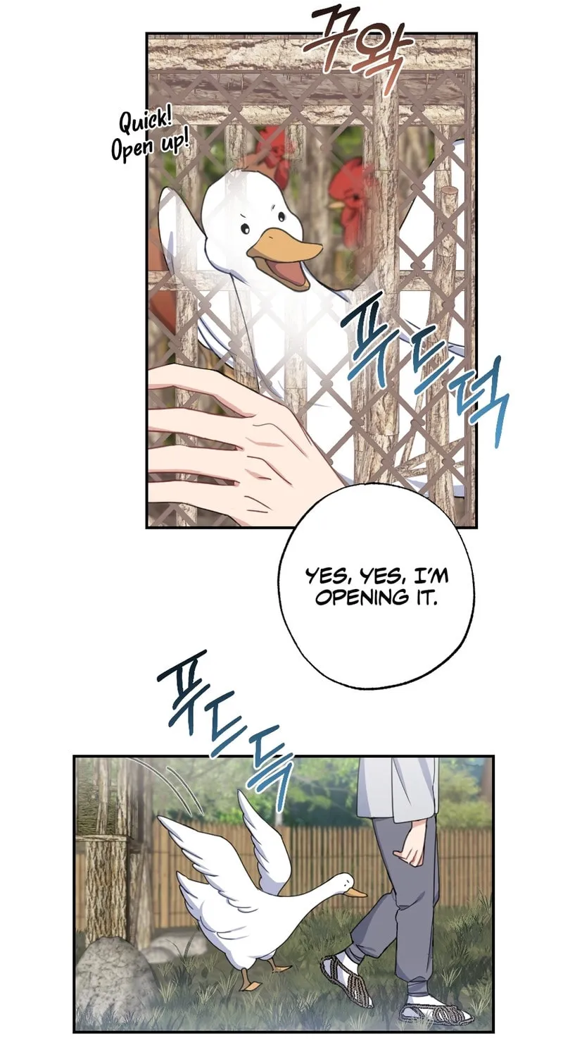 My Runaway Dragon Husband Chapter 2 page 24 - 