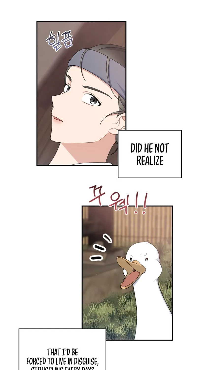 My Runaway Dragon Husband Chapter 2 page 32 - 