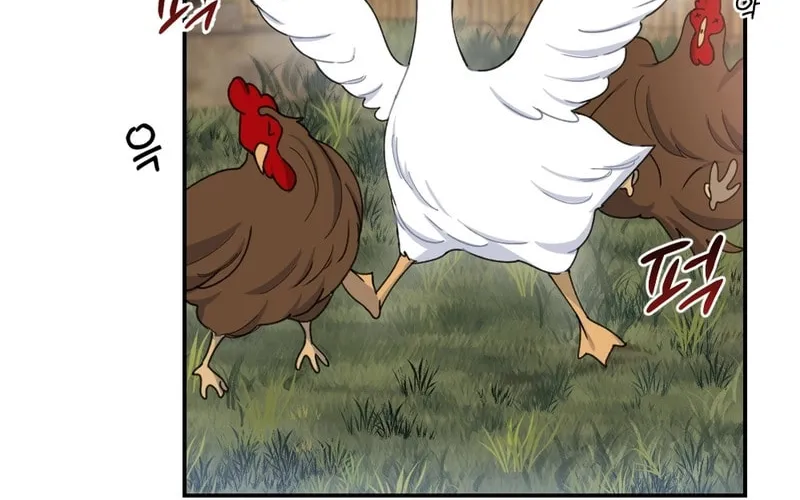 My Runaway Dragon Husband Chapter 2 page 34 - 