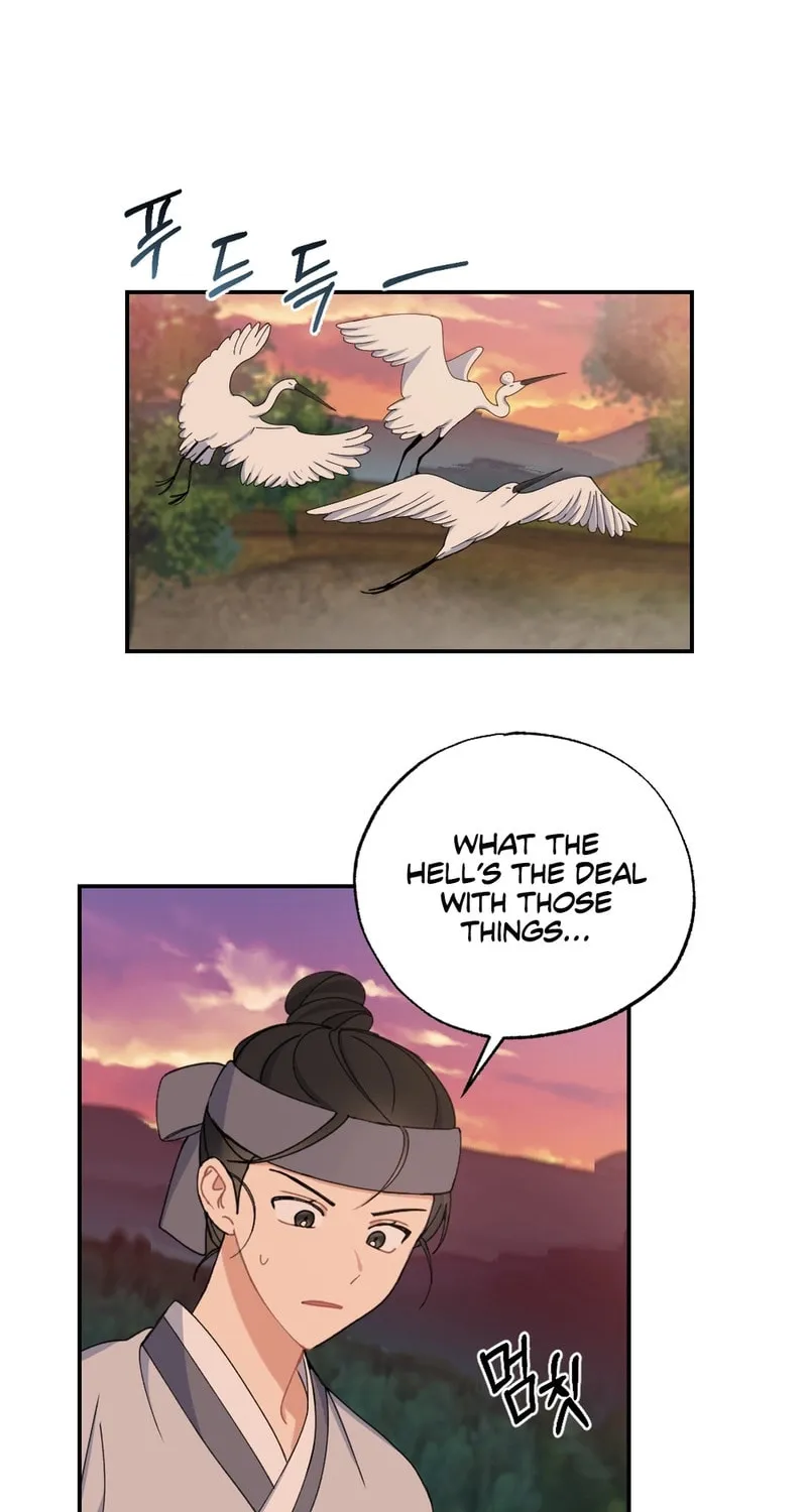My Runaway Dragon Husband Chapter 2 page 49 - 