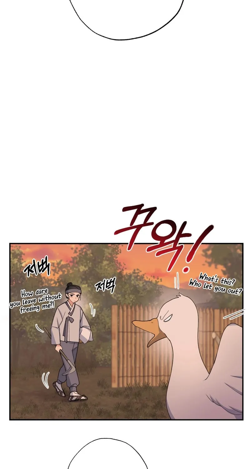 My Runaway Dragon Husband Chapter 3 page 30 - 