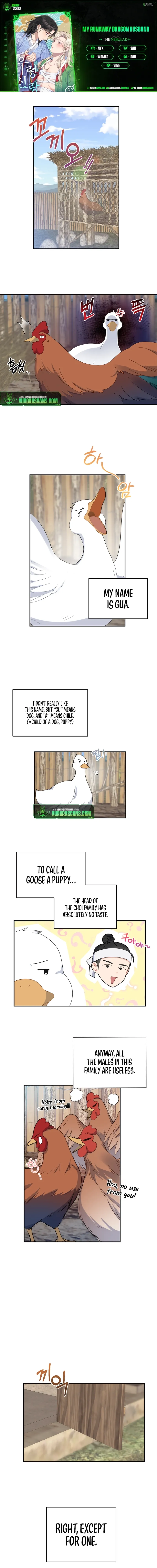My Runaway Dragon Husband Chapter 8 page 1 - 