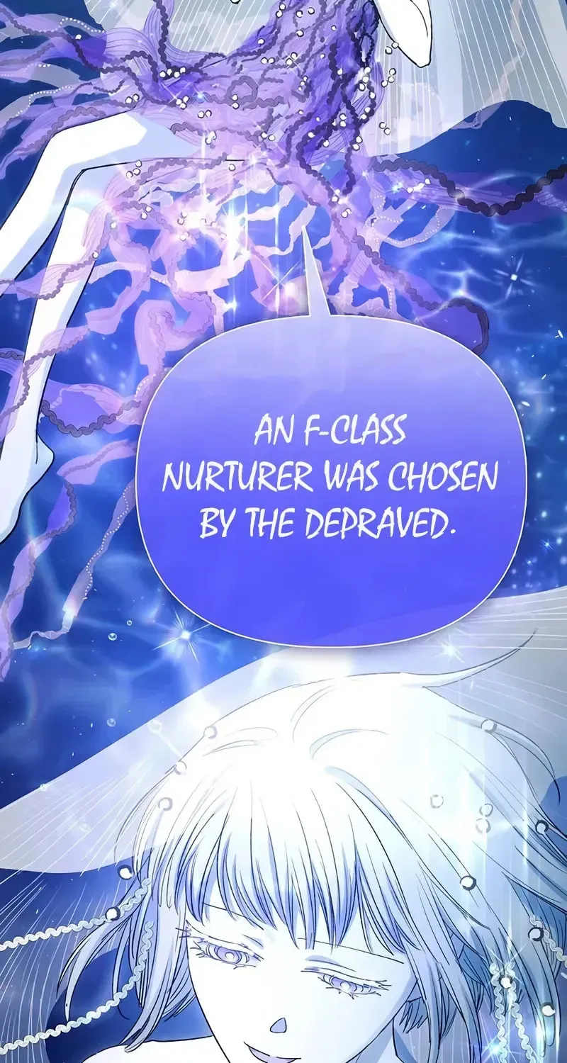 My S-Class Hunters Chapter 1.1 page 72 - 