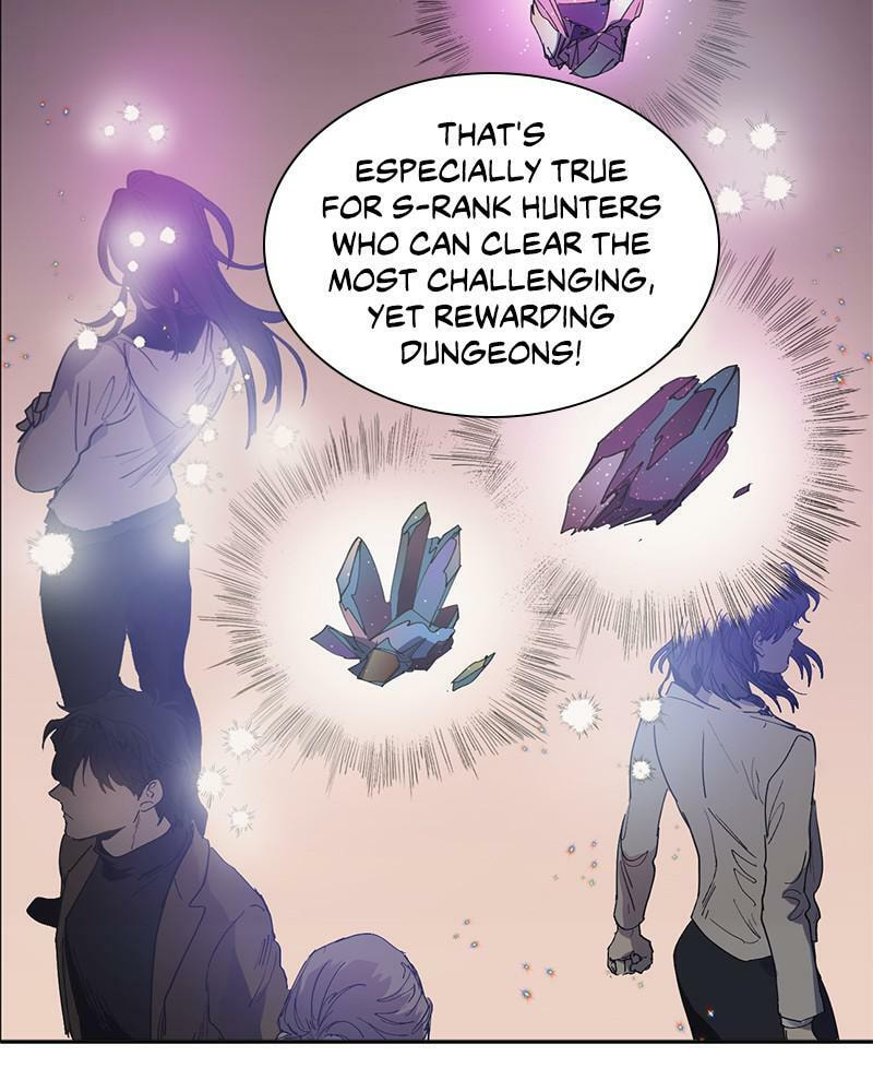 My S-Class Hunters Chapter 2 page 13 - 