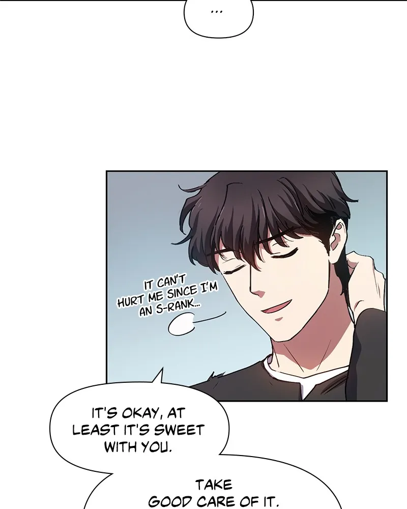 My S-Class Hunters Chapter 22 page 48 - 