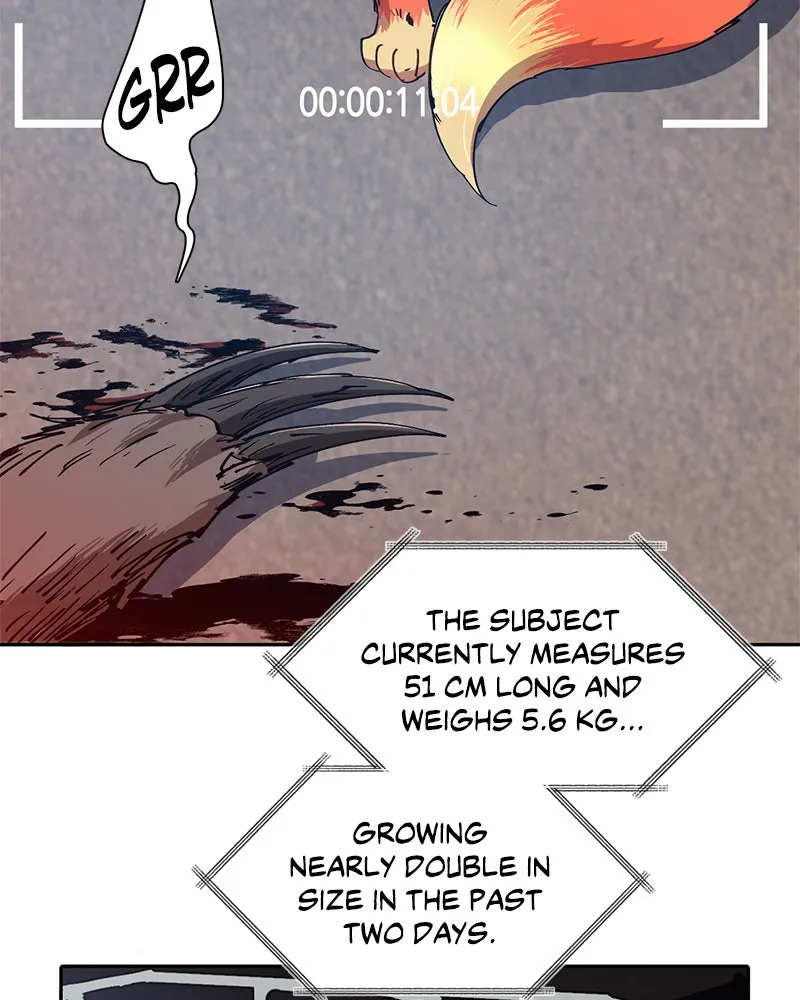 My S-Class Hunters Chapter 26 page 7 - 