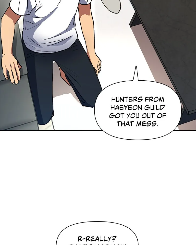 My S-Class Hunters Chapter 43 page 28 - 
