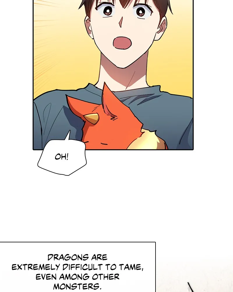My S-Class Hunters Chapter 45 page 82 - 