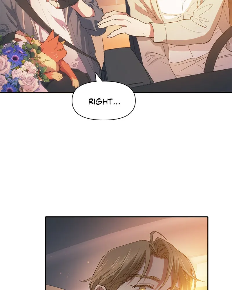 My S-Class Hunters Chapter 47 page 14 - 