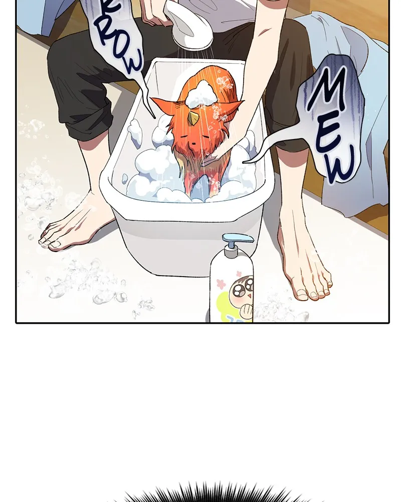My S-Class Hunters Chapter 48 page 19 - 
