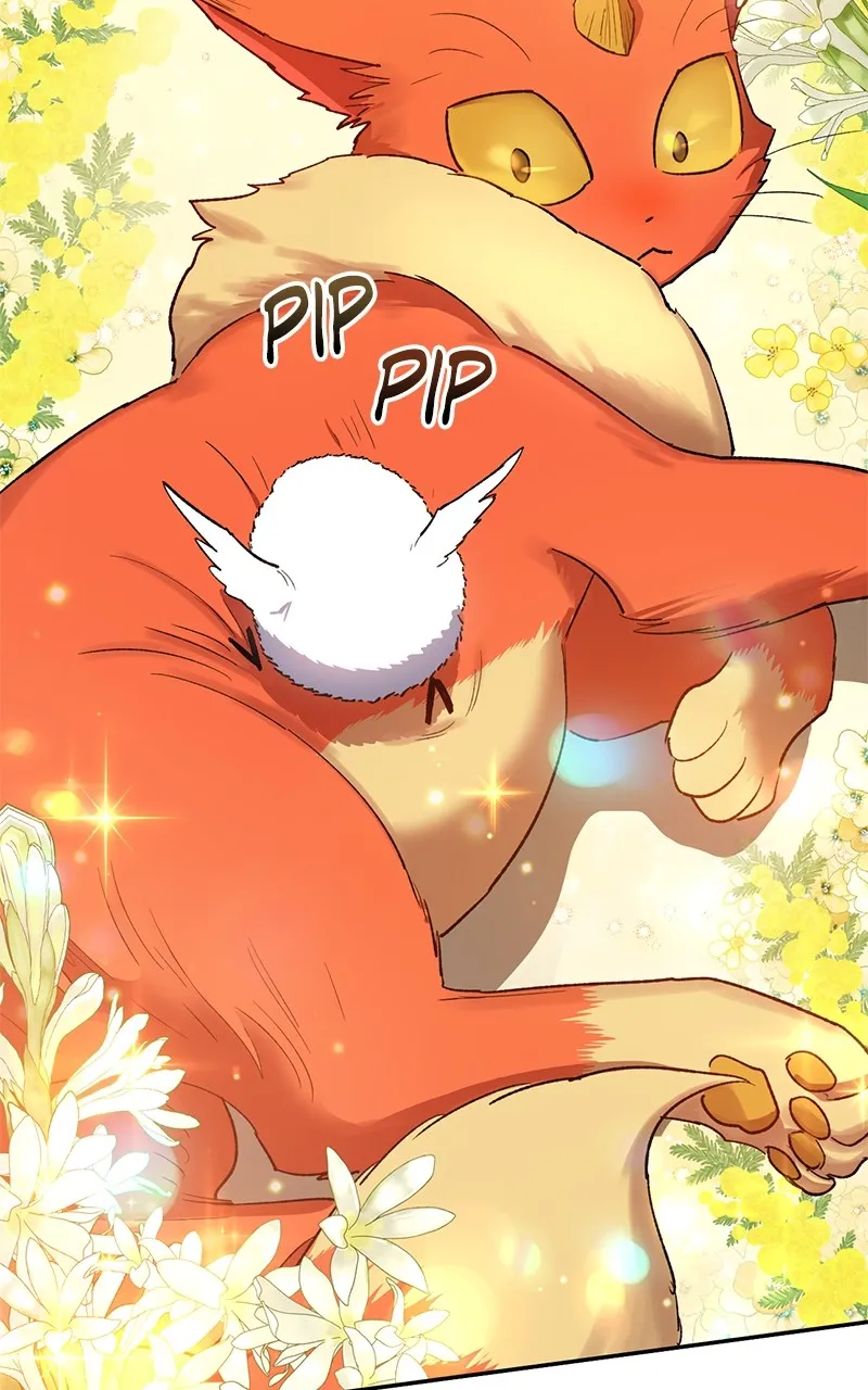 My S-Class Hunters Chapter 51 page 61 - 