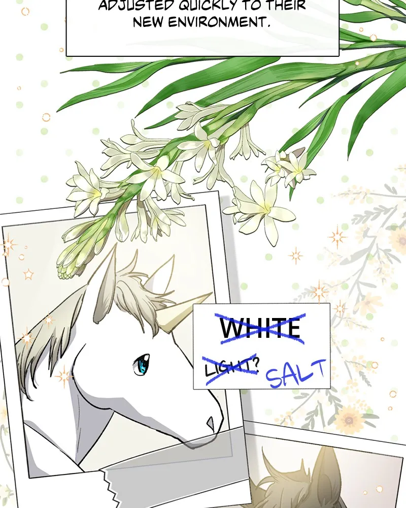My S-Class Hunters Chapter 57 page 3 - 