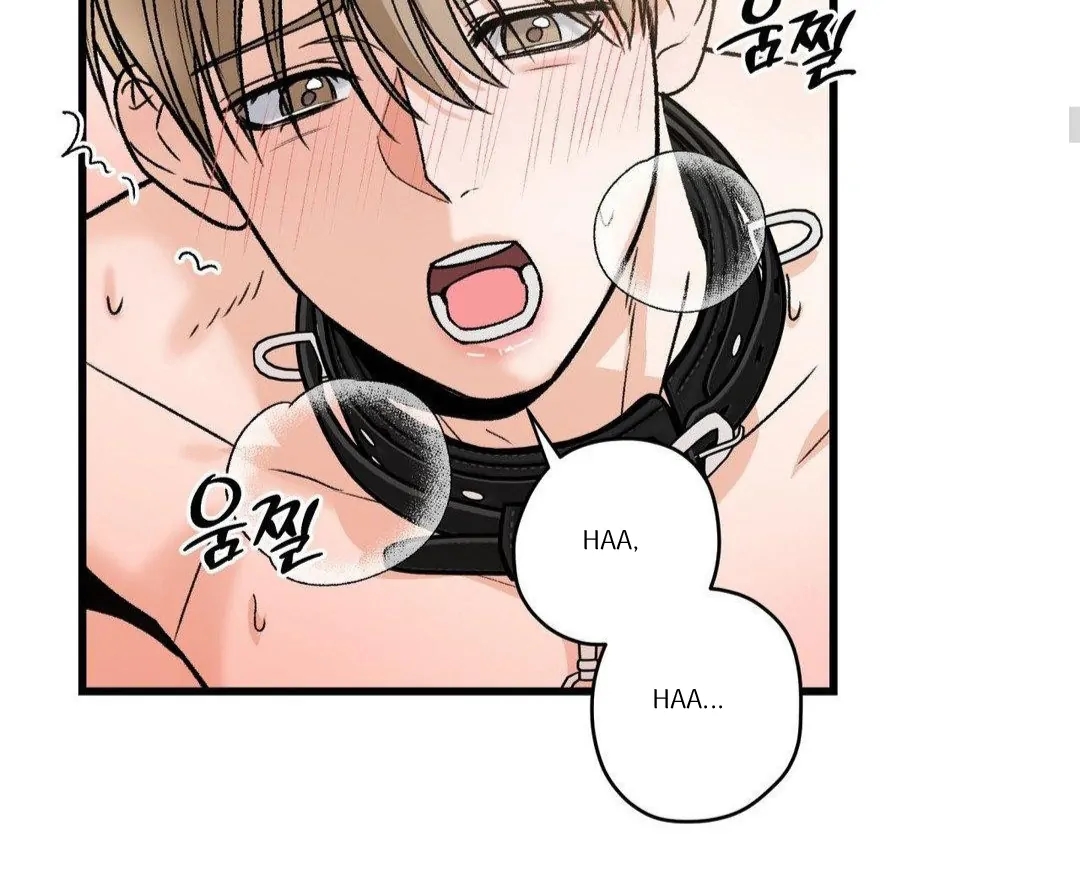 My Sadistic Master Chapter 44.7 page 27 - 