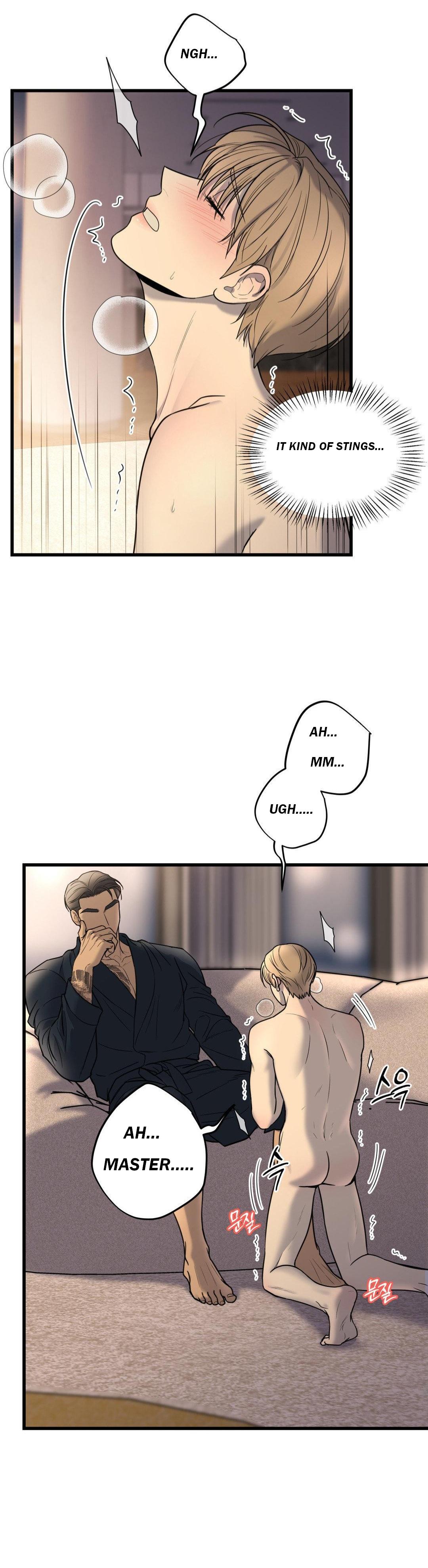 My Sadistic Master Chapter 47 page 12 - 