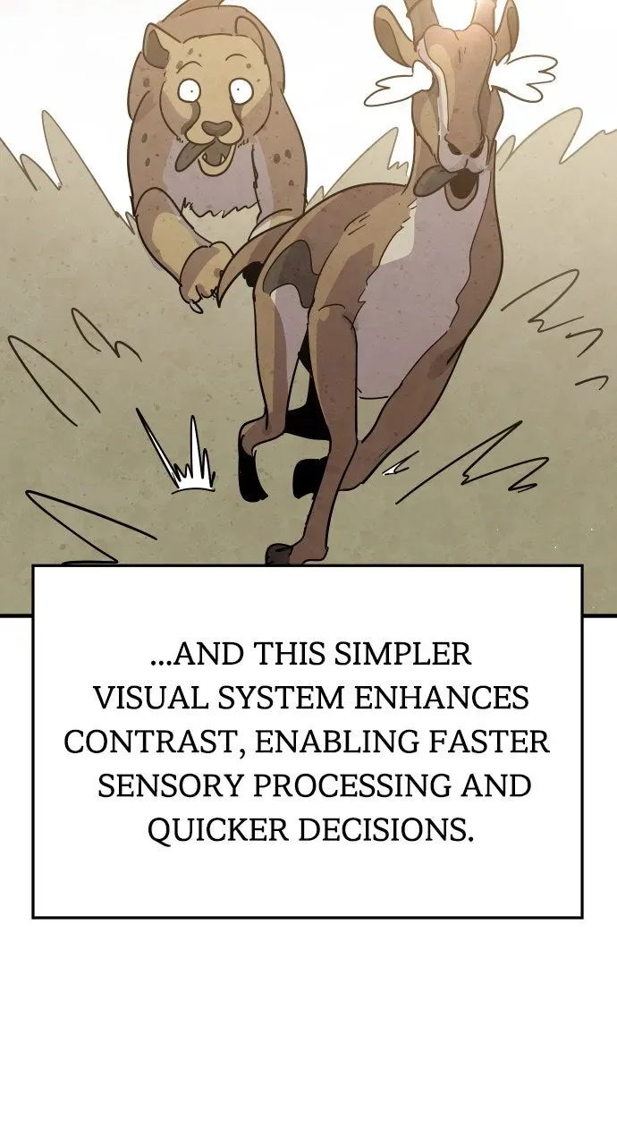 My Second Life is a Healing Life? Chapter 37 page 6 - 